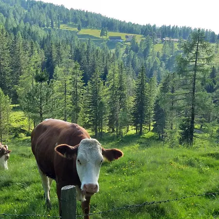 Tatil Evi Stoichart Almhutte Hochrindl