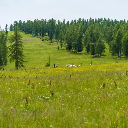 Tatil Evi Stoichart Almhutte